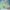 Testing Alt