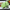 Testing Alt