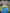 Testing Alt
