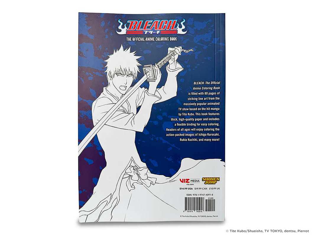 BLEACH: The Official Anime Coloring Book by VIZ Media - Leo's Treasure Box