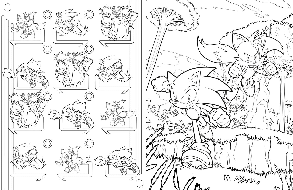 Sonic the Hedgehog: The Official Adult Coloring Book - Leo's Treasure Box