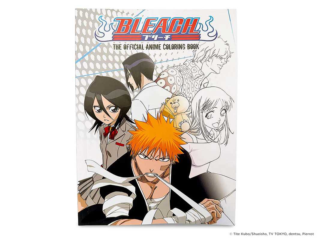 BLEACH: The Official Anime Coloring Book by VIZ Media - Leo's Treasure Box