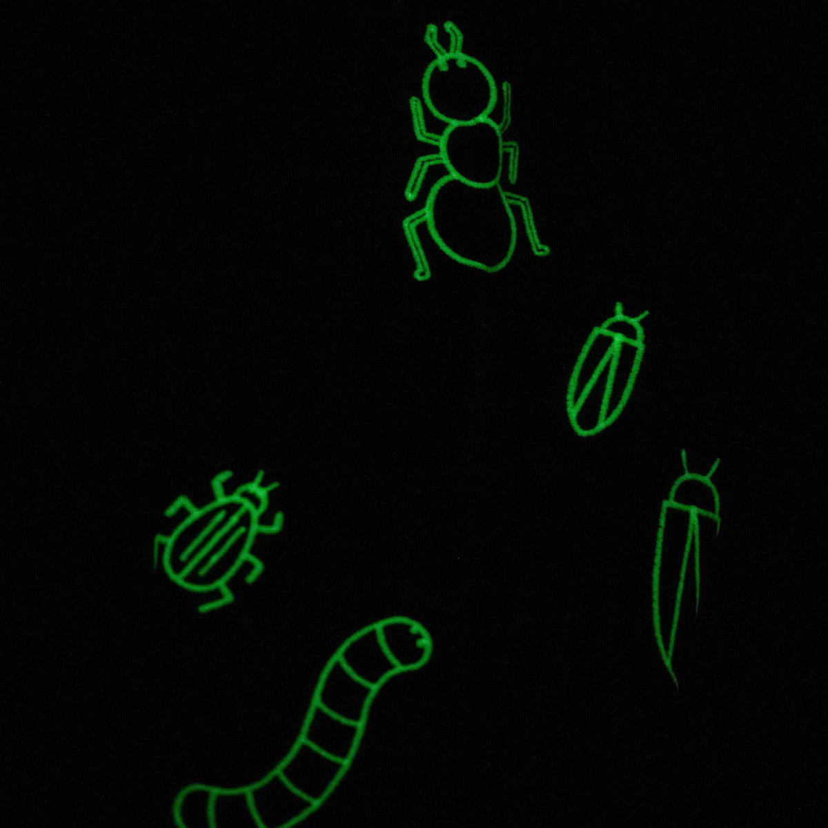 Glowing green illustrations of insects on a black background