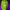 Green plaid shirt with white graphic design on a purple background
