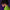 Man wearing a green shirt with a purple background