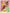 Disney Princesses Twin Size 60 X 80 Blanket - Leo's Treasure Box