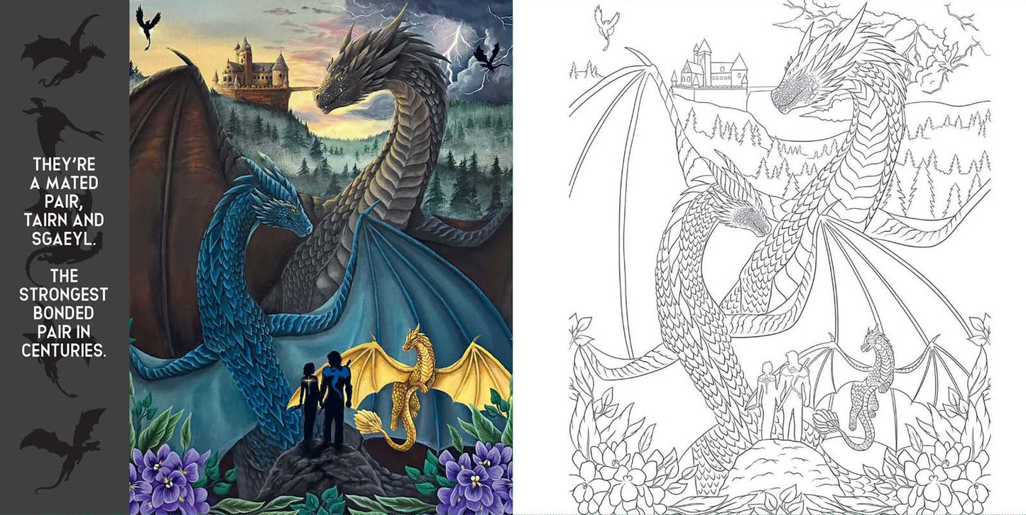 Colorful illustration of dragons with a black and white line drawing on the right, set against a scenic background.