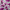 Barney-themed fabric with hearts, polka dots, and text on a white background