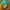Plush toy with a blue ribbon and a logo patch on a brown background