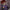 Toy figure of a character with red hair and purple sweater, brand 'Seed of Chucky' visible