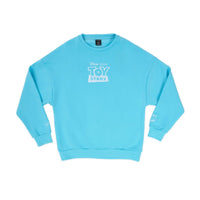 Light blue sweatshirt with 'Toy Story' logo on a white background
