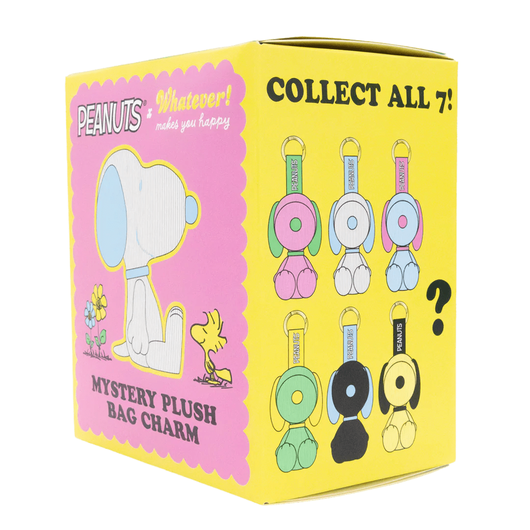 Box of Peanuts mystery plush bag charm with cartoon characters and colorful design.