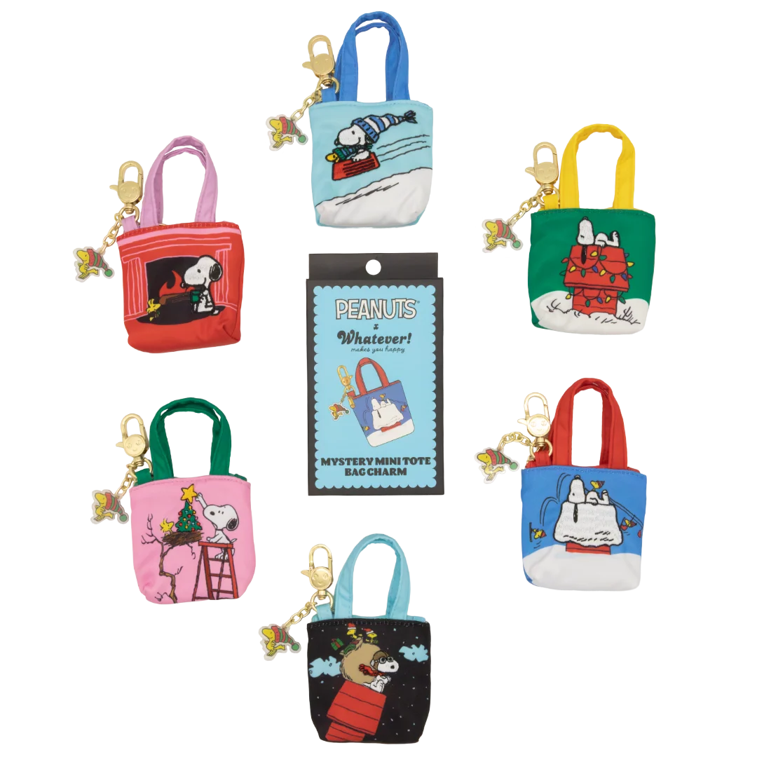Six small Peanuts-themed mini tote bags with colorful handles and cartoon character prints, arranged around a central package on a white background.