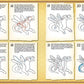 Step-by-step drawing guide of a dragon with numbered steps on a beige background