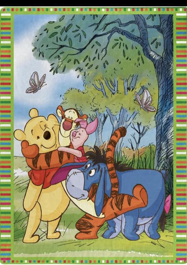 Winnie The Pooh And Friends Twin Size 60 X 80 Blanket