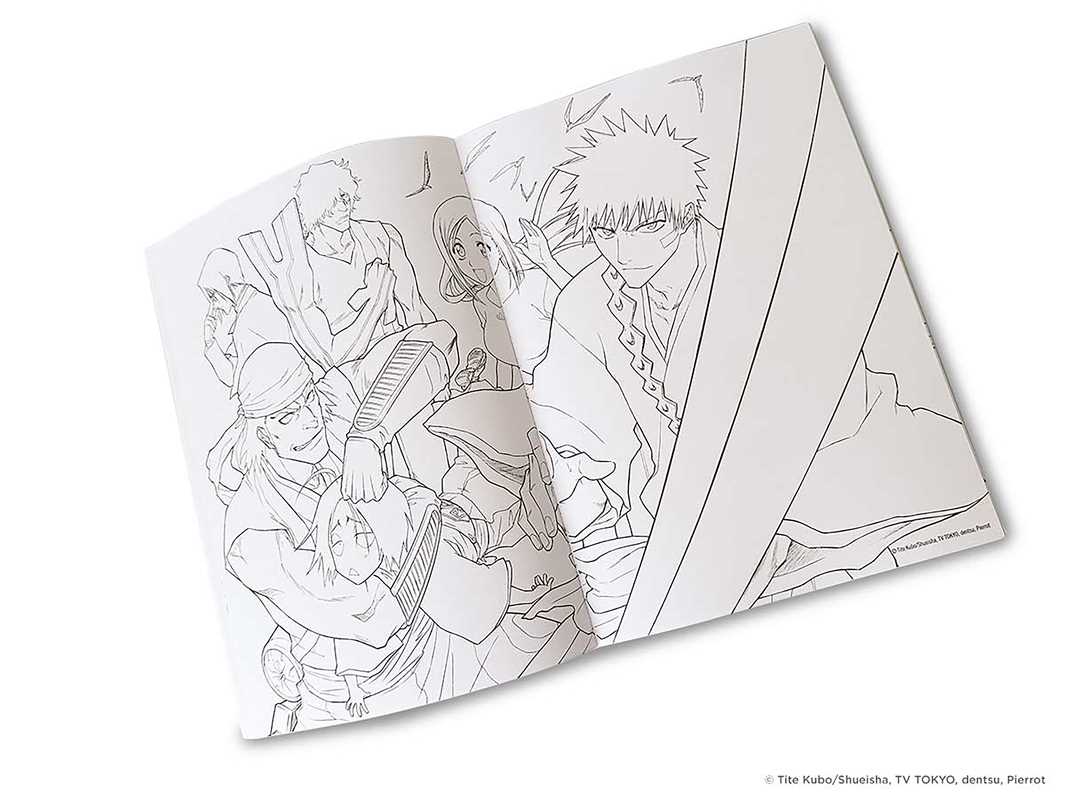 BLEACH: The Official Anime Coloring Book by VIZ Media - Leo's Treasure Box