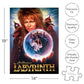 Labyrinth 500 Piece Jigsaw Puzzle - Leo's Treasure Box