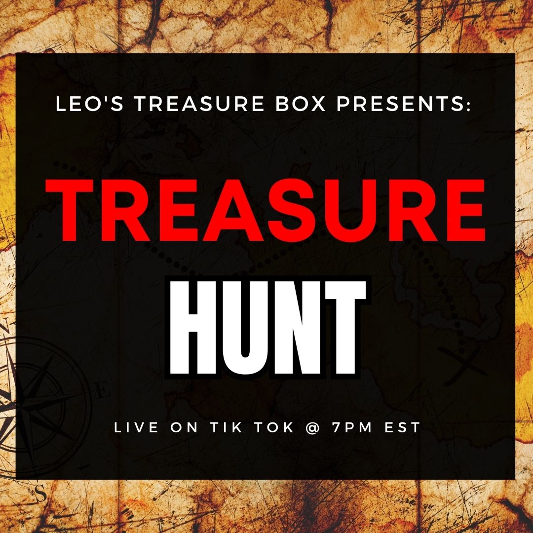 Treasure Hunt Please Read Full Description